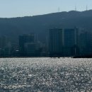 계류장 앞 | 부산 요트투어 재방문 후기 | 여름철 광안대교 뷰 맛집, 19b 계류장 완벽 가이드