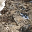 하청농장 이미지