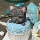 뽀미까까 이미지