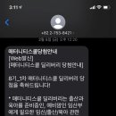 딜리버리맘 이미지