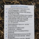 돼지만왕소금구이 - 춘천시 퇴계로 71 | 돼지만왕소금구이