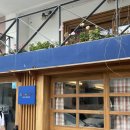 어바웃 댕댕 이미지