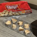 F42 | 필리핀 보홀 3박 5일 여행 후기 (1)_로투스, 프리다이빙 강습, 나팔링 투어, 라모이, 돌조비치