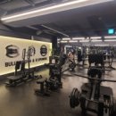 불독휘트니스 이미지