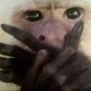 옹스냅 | Wedding 04. 짝꿍할인 O / 용산 로얄파크컨벤션 파크홀 "스냅썬" 본식 DVD 계약 후기