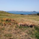 올레 두번째이야기 이미지