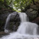 모시골민박 이미지