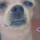 실내탁구장 이미지