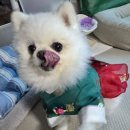 경아테크 이미지