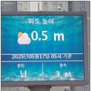 인천 영종도 ‘예단포둘레길’ 2025년 5월 17일