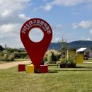 코스모스정원공중화장실 | 대구 가을 가볼만한곳 ‘2025대구정원박람회’ 하중도 주차 코스모스