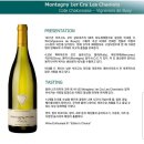 브리몽 | 대전와인모임(클래식와인) 첫 벙개 참석 후기(2019.5.9)