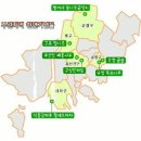 부산 구포동 당숲(천연기념물 제309호) 이미지