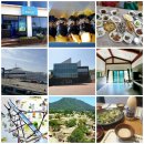 조정래벽화마을 | 하루동안 마니도 다닌 남도여행 3일째 여수여행 +고흥여행 그리고 낙안읍성여행 합 10곳