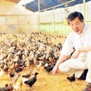 마령생명영농조합법인 이미지