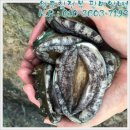 으뜸전복수산 이미지