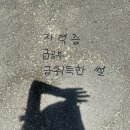 [란니/daily] ERP정보관리사 자격증 독학해보기!! --> 합격썰 (feat. 인사1급)