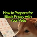 반려동물과함께하는#설렘 이미지