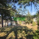 강릉농협주유소 이미지