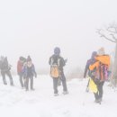 [강원] 태백 검룡소 산책과 함백산 눈꽃 당일 이미지