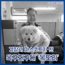 옥구지구대 이미지