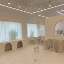 댕댕아띠 이미지