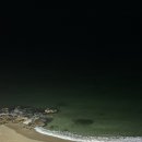 영진을 담다 이미지