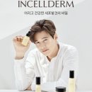 인셀덤 대구 이미지