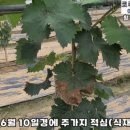 김천아그로 이미지