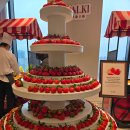 용산-현장-969 | 서울드래곤시티 인 스타일 딸기 디저트 뷔페 방문 후기🍓