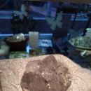 다이아몽 이미지