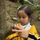 사천유치원 이미지