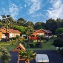 대성카월드 이미지