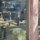 남산골한옥마을 정문화장실 이미지