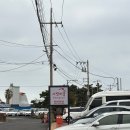 사랑펜션 | 제주공항 가까운 감성숙소 사랑터울펜션 201호 방문후기