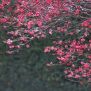 유엔조각공원 이미지