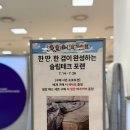 레노마현대미아점7층 | 현대백화점 미아점 포렌 POREN 팝업스토어 방문기 프리미엄 숙면의 기준을 만나다