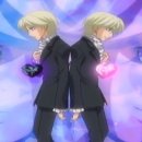 네스테이 이미지