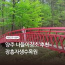 장흥자생수목원 | 가족 나들이 장소 추천! 양주장흥자생수목원 내돈내산 후기 (주차, 입장료, 둘레길)