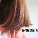 제이나인 이미지