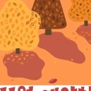 레인보우키즈어린이집 이미지