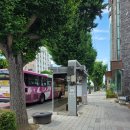순천 디저트 맛집 달보드레카페 순천점 A세트 포장 솔직 후기