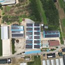 상동 태양광발전소 이미지