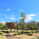 충현공원 이미지