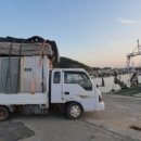 비금면사무소 이미지