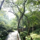 삼삼바이크 이미지