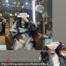 동네방네머리방
