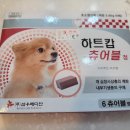 상현약국 이미지