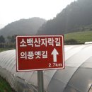 소백산자락길 제7코스 Daum카페