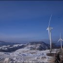 광대목장 이미지